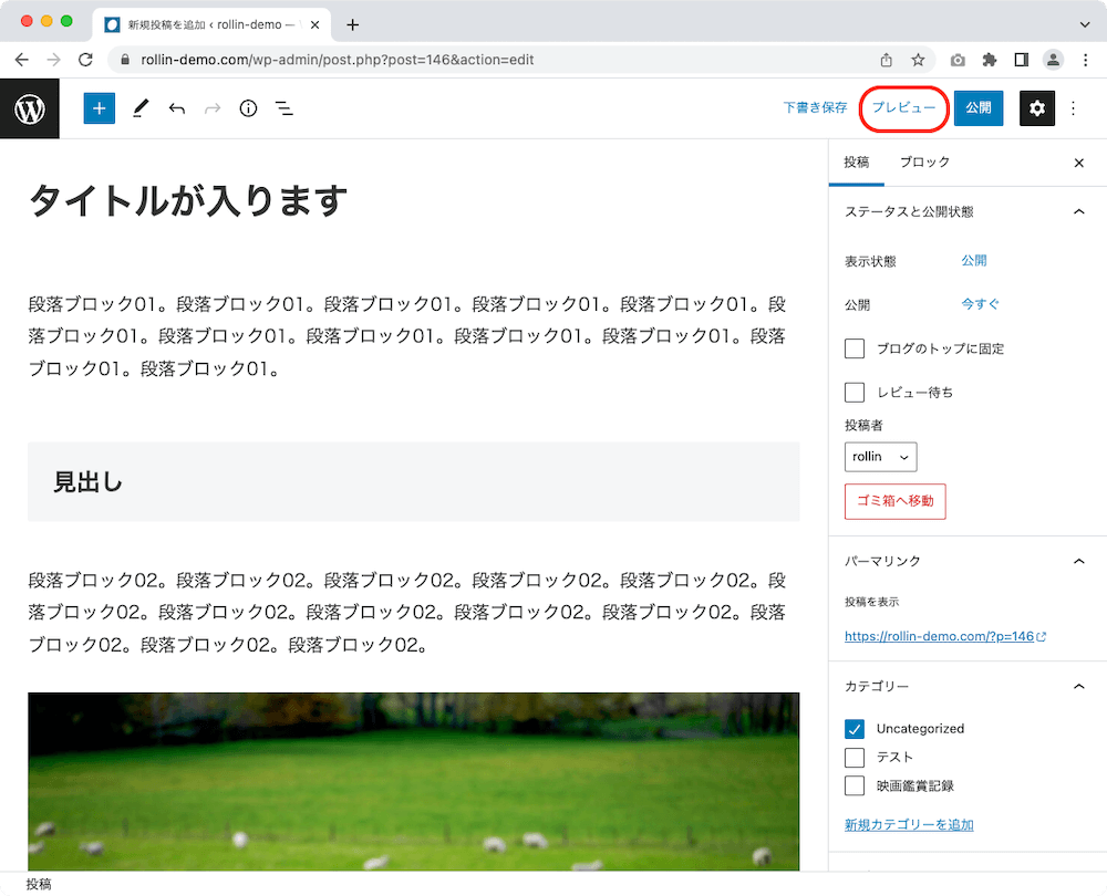 WordPress 管理画面 投稿作成画面 プレビュー