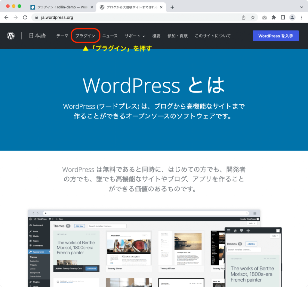 ブログ初心者へのプラグイン説明「WordPress.orgのプラグインページ」